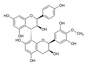 Grape Seed Extract 84929-27-1